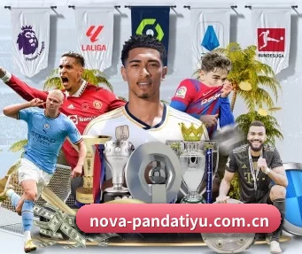 nova-pandatiyu.com.cn APP